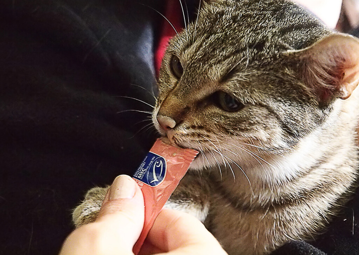 Kopie Von 25 10120314