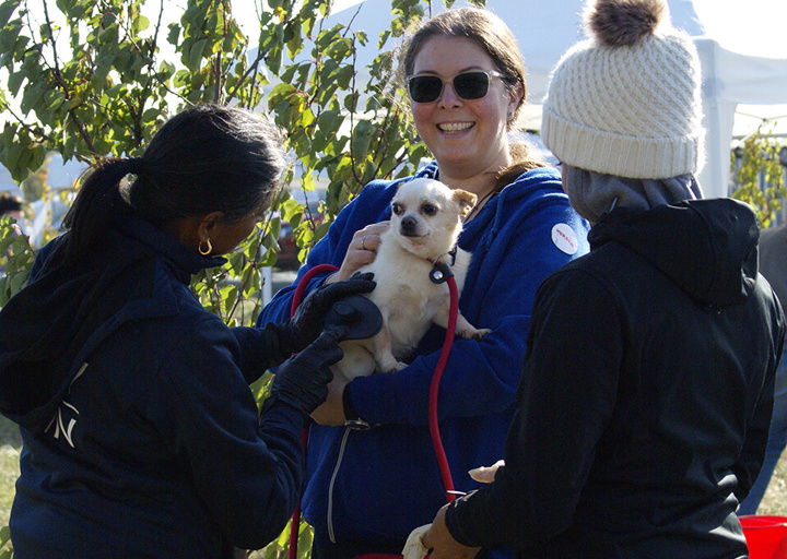 Kopie Von 25 10120552