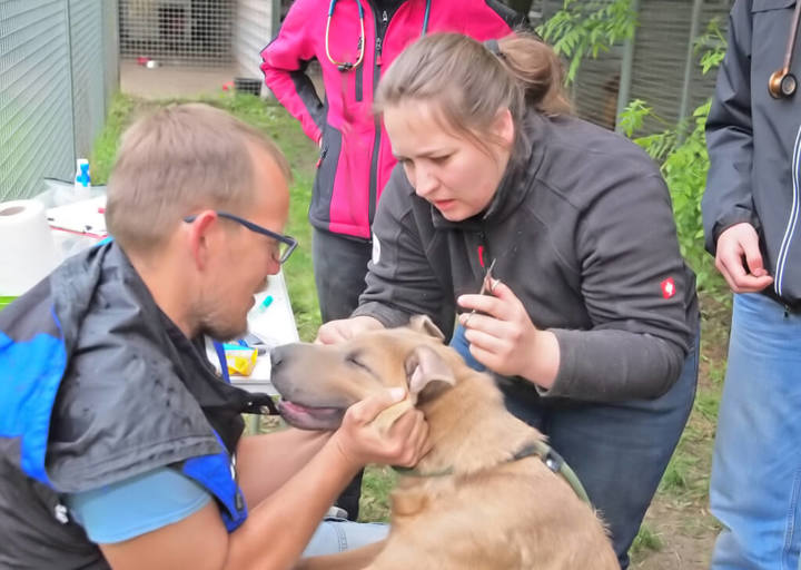 Kopie Von 25 05180181