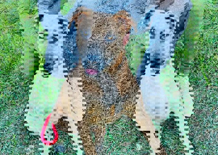 Aca Careday Okt 2025 70