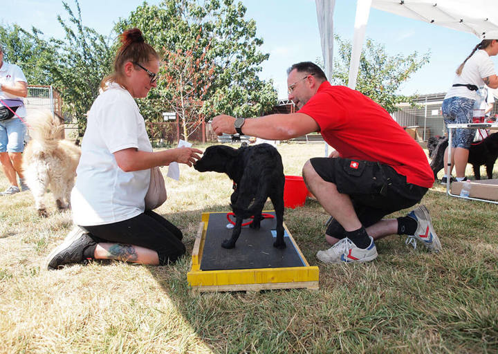 Kopie Von 25 07200139