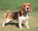 Karma 2 (2)
