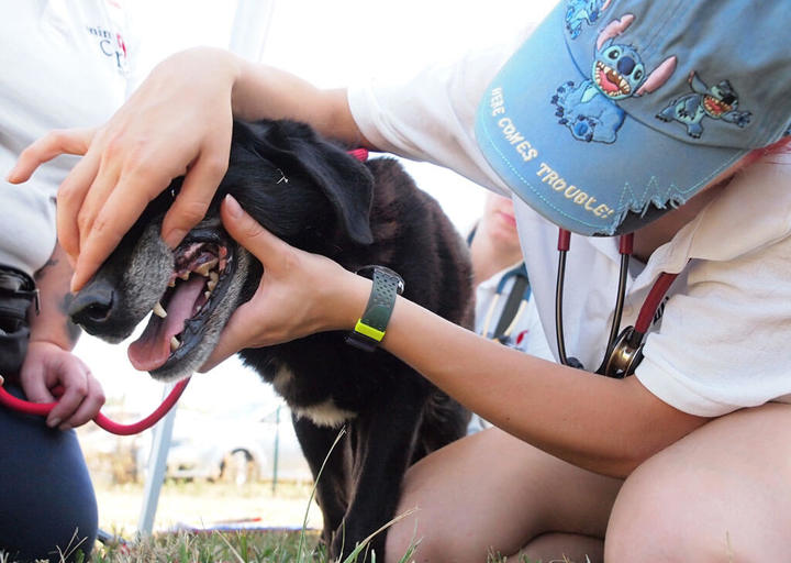 Kopie Von 25 07200226