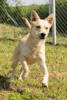 Lora 3 (2)
