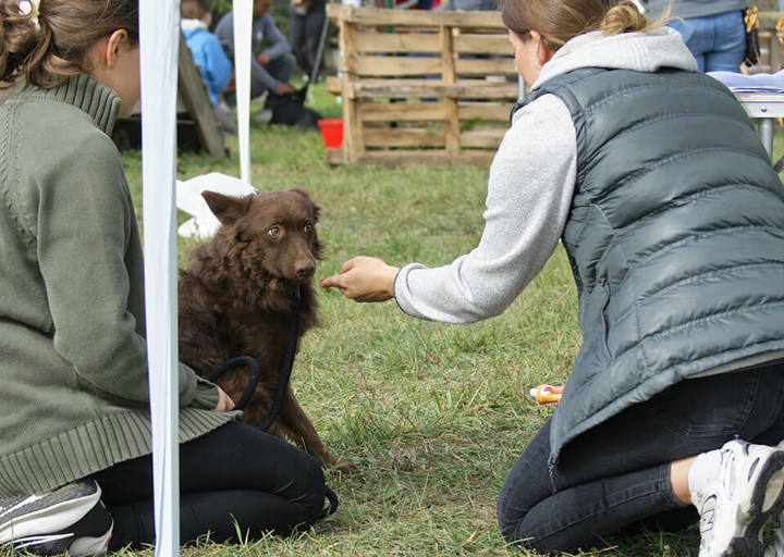 Kopie Von 25 10120220