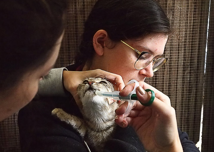 Kopie Von 25 10120312