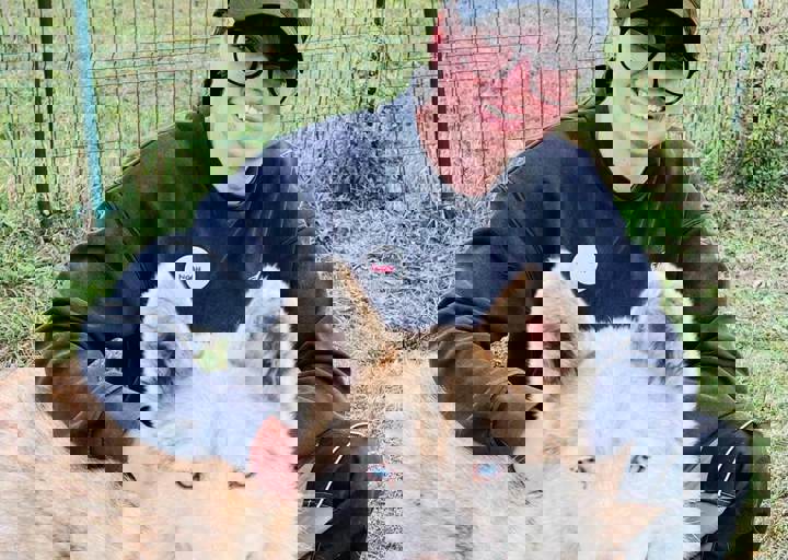 Aca Careday Okt 2025 50