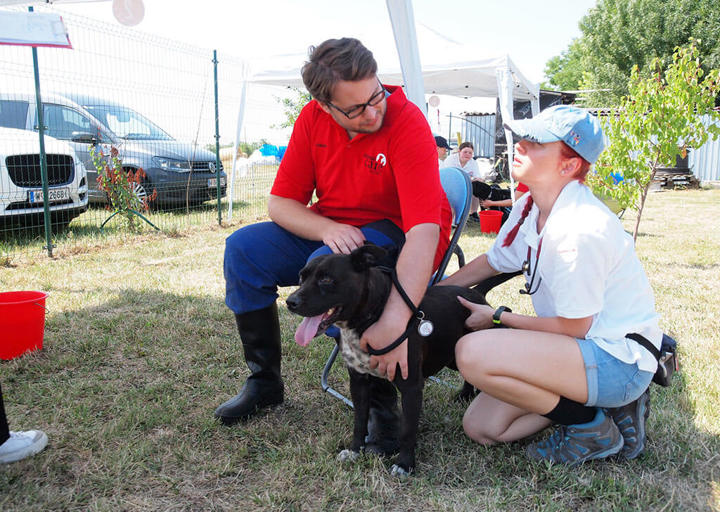 Kopie Von 25 07200157