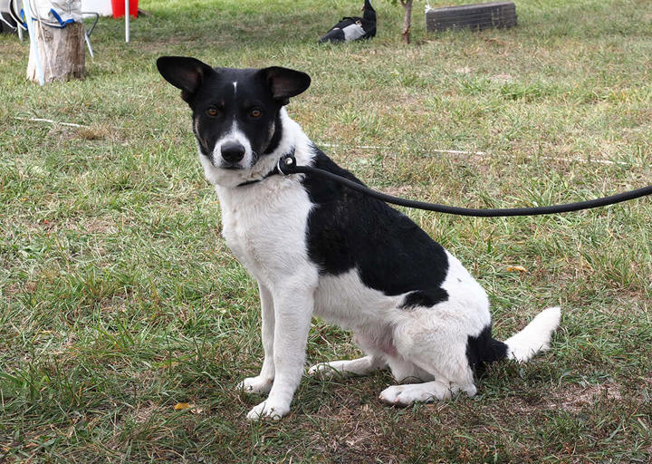 Kopie Von 25 10120335