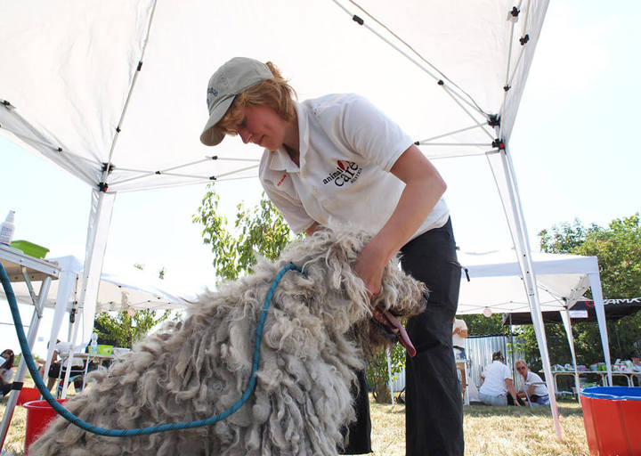 Kopie Von 25 07200392