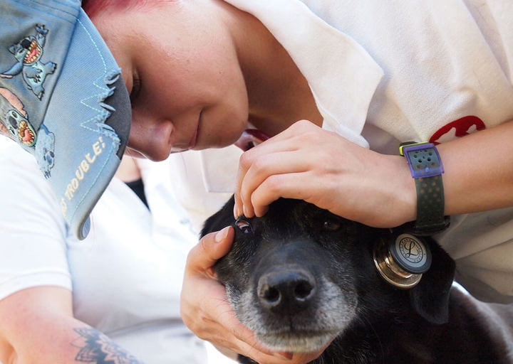 Kopie Von 25 07200224