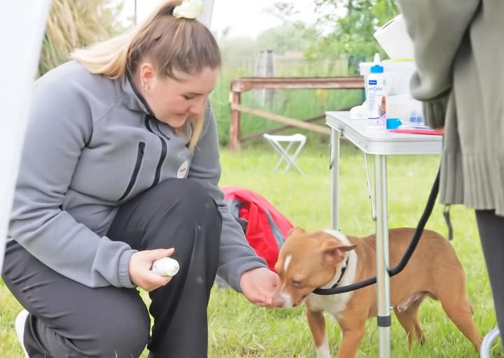 Kopie Von 25 05180125