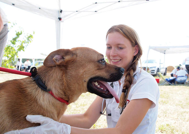 Kopie Von 25 07200182
