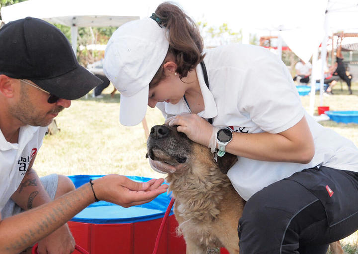 Kopie Von 25 07200179