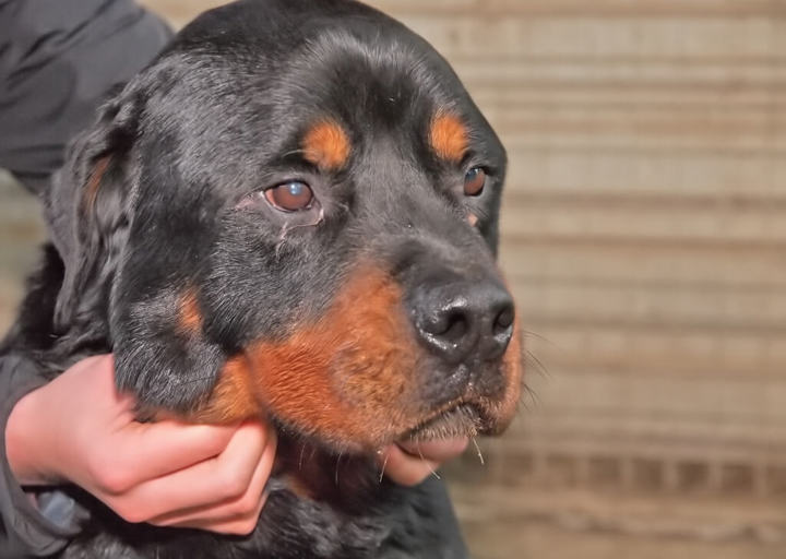 Kopie Von 25 05180192