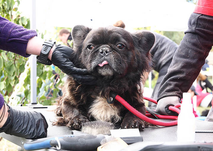 Kopie Von 25 10120405