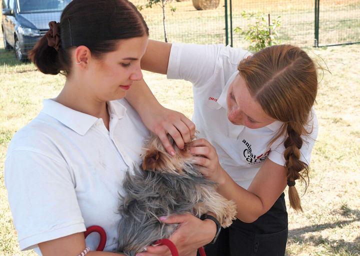 Kopie Von 25 07200420