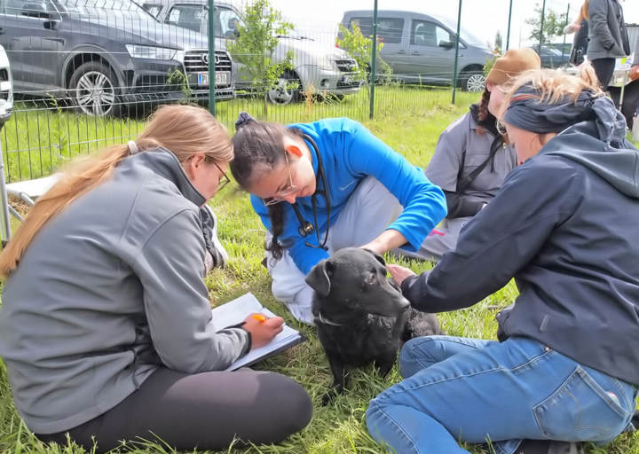 Kopie Von 25 05180272