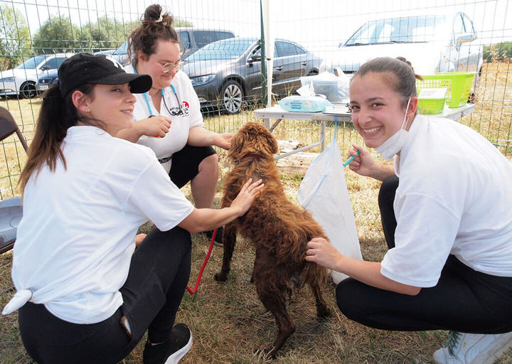 Kopie Von 25 07200166