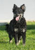 Gerda 3 (2)